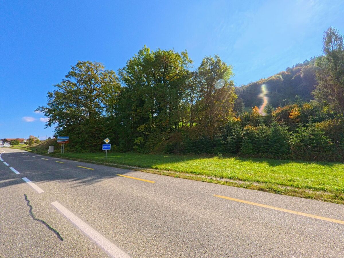 Am Ortseingang von Leibstadt (5325, Kanton Aargau) fuehrt eine Landstrasse an einem bewaldeten Hang vorbei, waehrend das Ortsschild am Strassenrand steht.