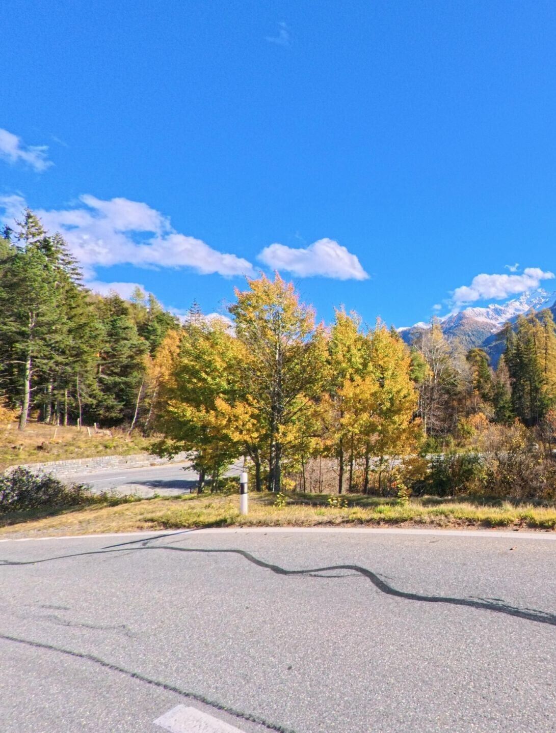 Am Rand einer Strasse zeigt sich in Lenz (7083, Kanton Graubünden) eine Baumgruppe mit herbstlich gefärbtem Laub vor bewaldeten Hängen und blauem Himmel.