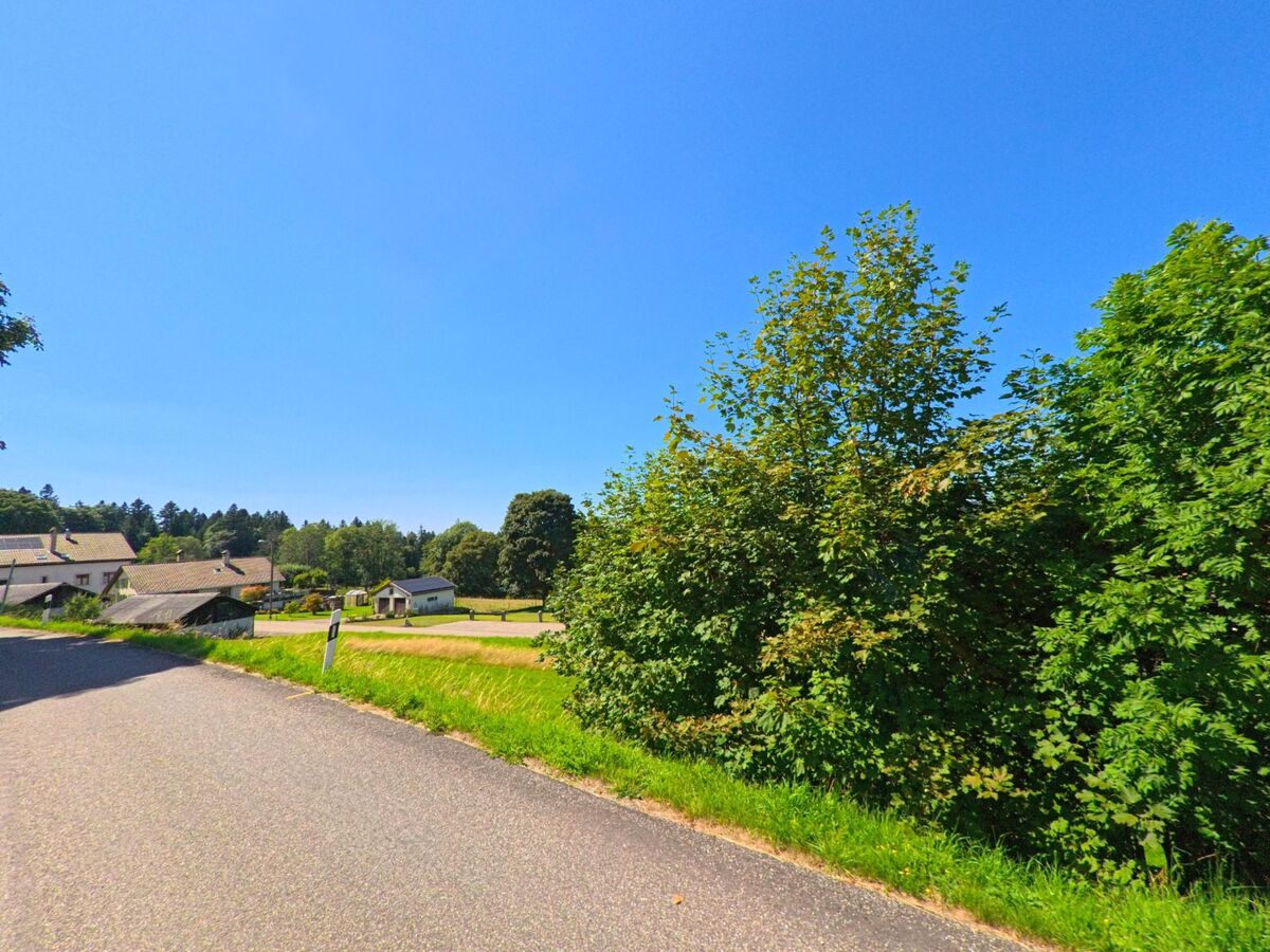 Am Ortsrand von Les Planchettes (2325, Kanton Neuenburg) fuehrt eine schmale Strasse an Wohnhaeusern und Gruenflaechen vorbei.
