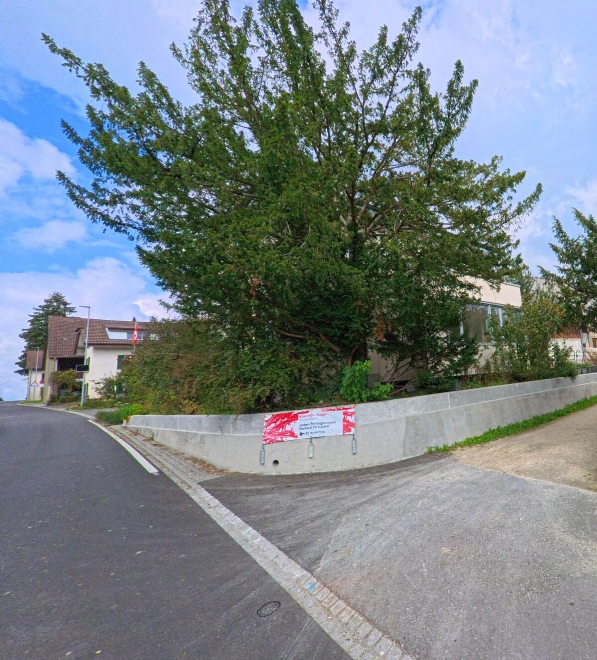 Eine leicht ansteigende Strasse in Leutwil (5725, Kanton Aargau) führt an einem grossen Baum und modernen Wohnhäusern mit Vorgärten vorbei.