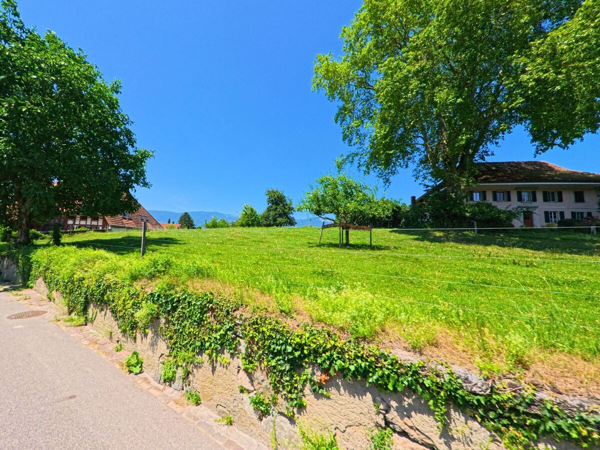 In Leuzigen (3297, Kanton Bern) liegt eine weitläufige Wiese mit einzelnen Bäumen und Blick auf Wohnhäuser sowie die nahen Jurahöhen im Hintergrund.