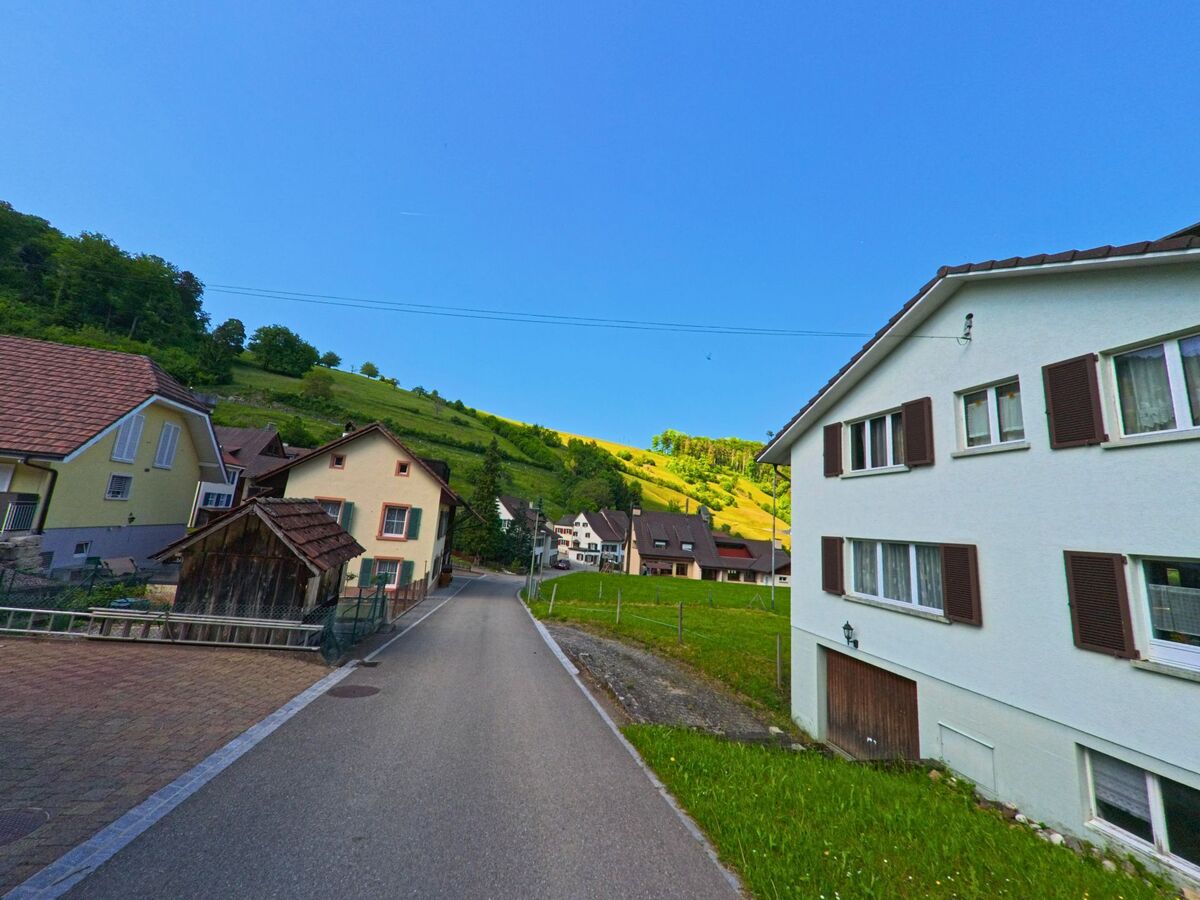 In Liedertswil (4436, Kanton Basel-Landschaft) verläuft eine schmale Dorfstrasse zwischen Wohnhäusern am Fusse eines sonnenbeschienenen Hanges.