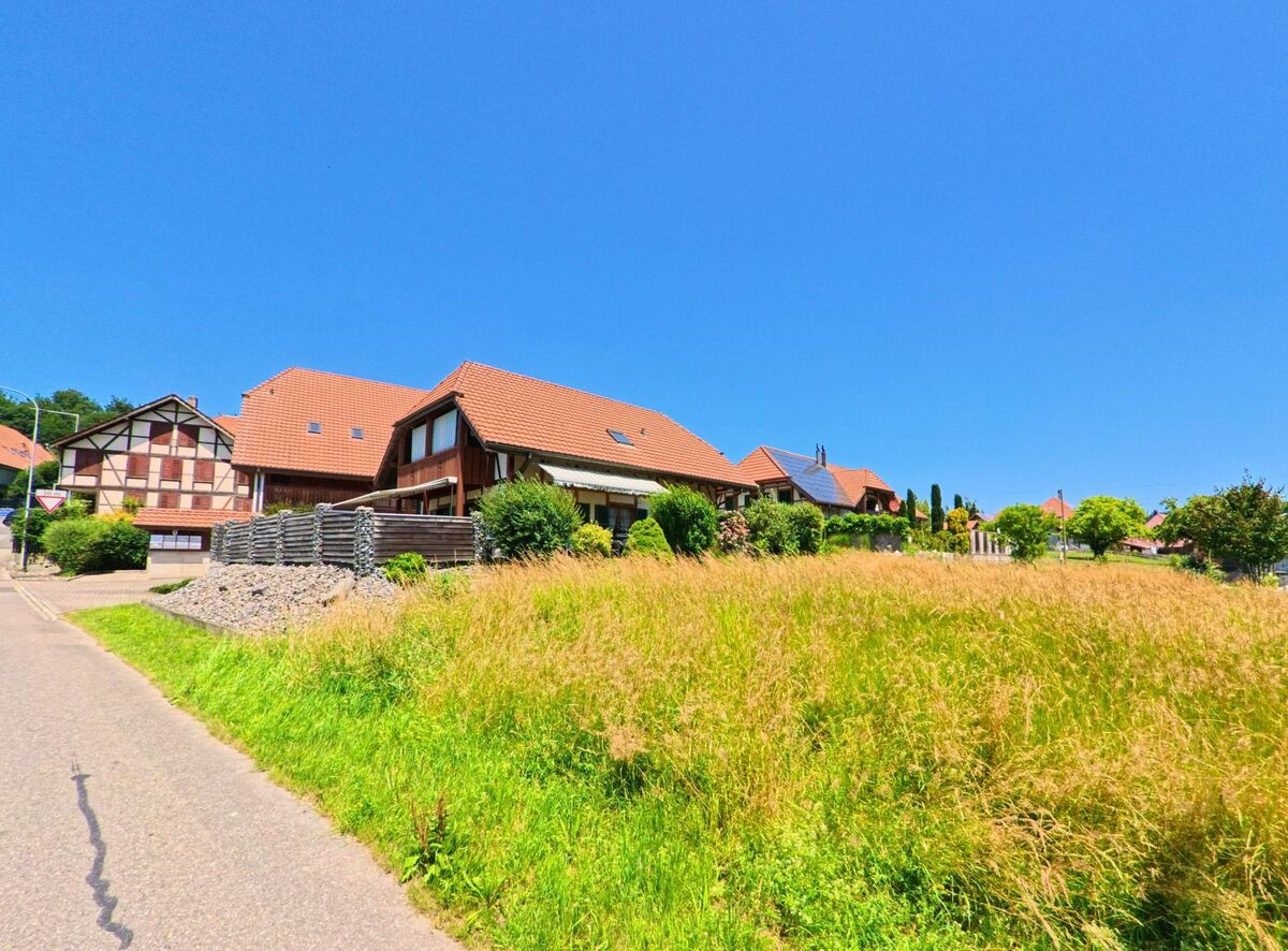 Haeuser mit roten Daechern grenzen in Lüterswil-Gaechliwil (4584, Kanton Solothurn) an eine Wiese mit hochgewachsenem Gras.