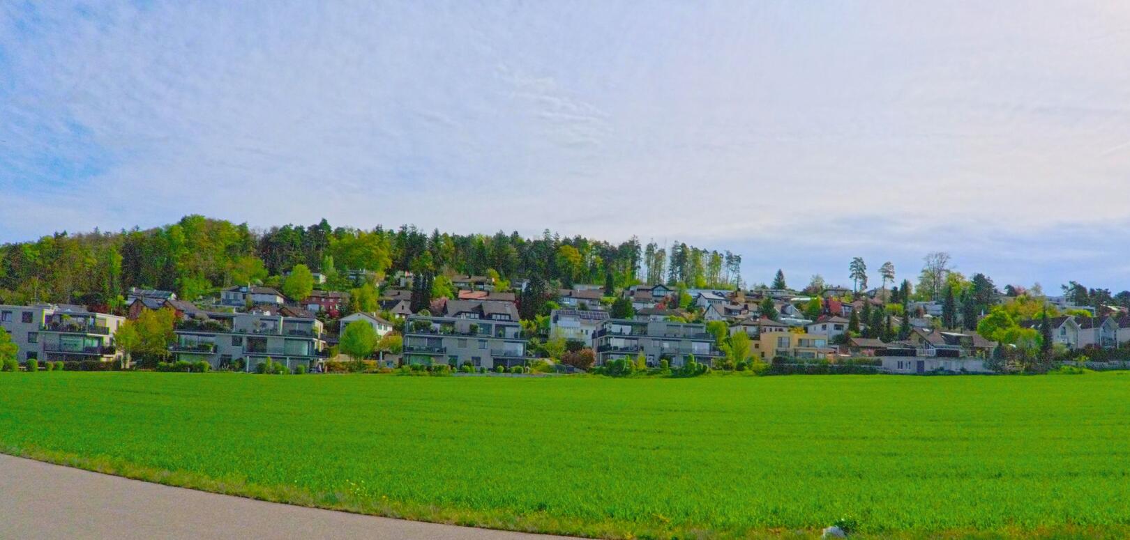 In Lufingen im Kanton Zürich, PLZ 8426, erstrecken sich moderne Wohnhäuser am Waldrand oberhalb eines weiten, grün bewachsenen Feldes.