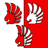 Luins