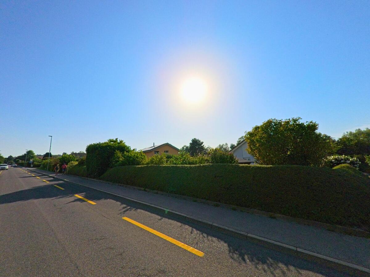 Die Sonne steht tief ueber einer Wohnstrasse in Lully (1470, Kanton Freiburg), entlang der gepflegte Hecken und Einfamilienhaeuser verlaufen.