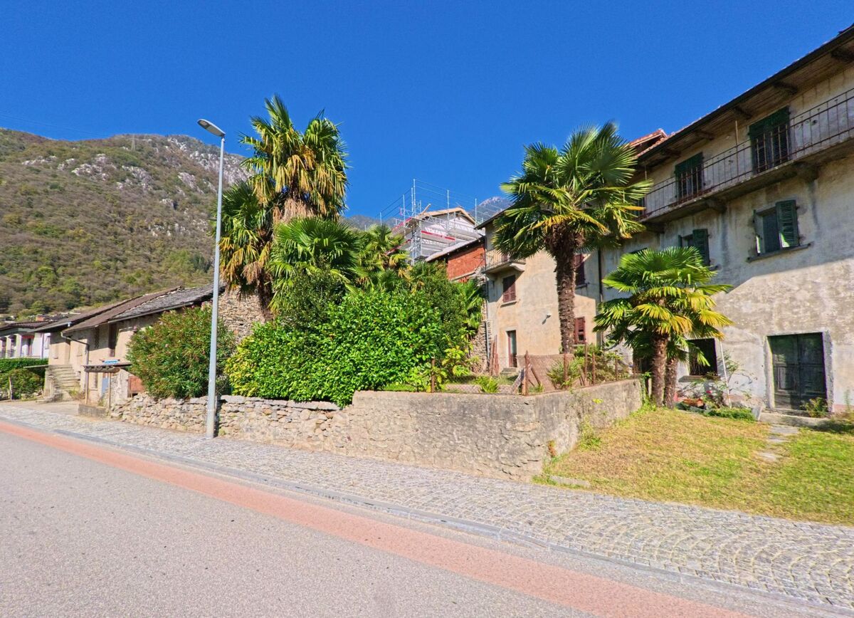 Entlang einer schmalen Strasse mit Palmen und Natursteinmauern stehen ältere Wohnhäuser in Lumino (6533, Kanton Tessin) vor dicht bewachsenen Berghängen.