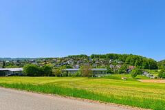Lupsingen