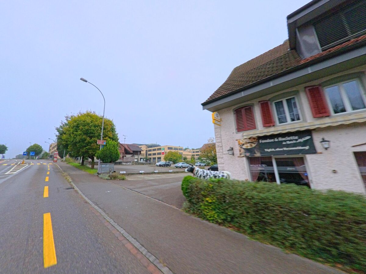 Ein Gasthaus mit roten Fensterläden und Werbeschild steht an der Hauptstrasse in Mägenwil (5506, Kanton Aargau), gegenüber befinden sich Gewerbebauten und Bäume.