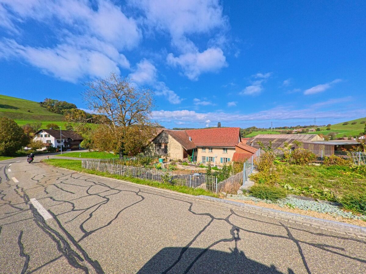 An der leicht kurvigen Landstrasse in Mandach (5318, Kanton Aargau) stehen Bauernhäuser mit roten Dächern und gepflegten Gärten inmitten grüner Hügel.