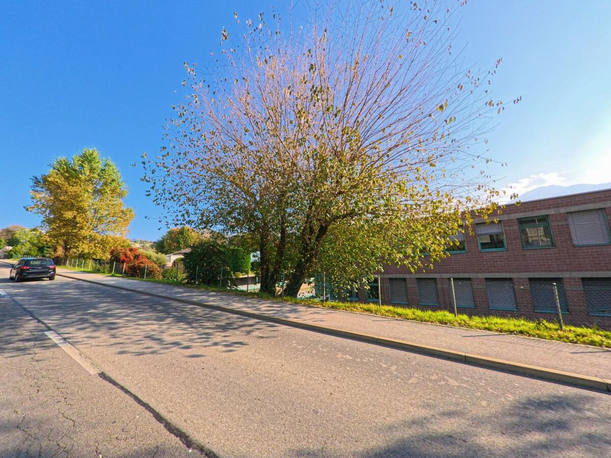Entlang einer wenig befahrenen Strasse mit herbstlich gefärbten Bäumen verläuft ein Abschnitt von Manno (6928, Kanton Tessin), neben einem schlichten Gebäude und schattigem Gehweg.