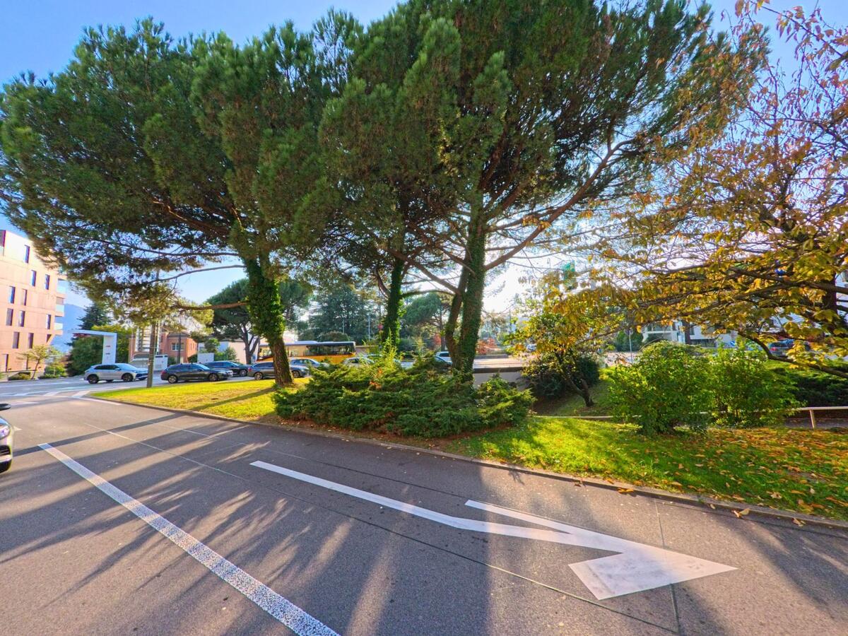 Entlang einer Strasse in Massagno (6900, Kanton Tessin) liegt eine begrünte Fläche mit hohen Bäumen, Sträuchern und angrenzendem Fahrbahnverlauf im Tageslicht.