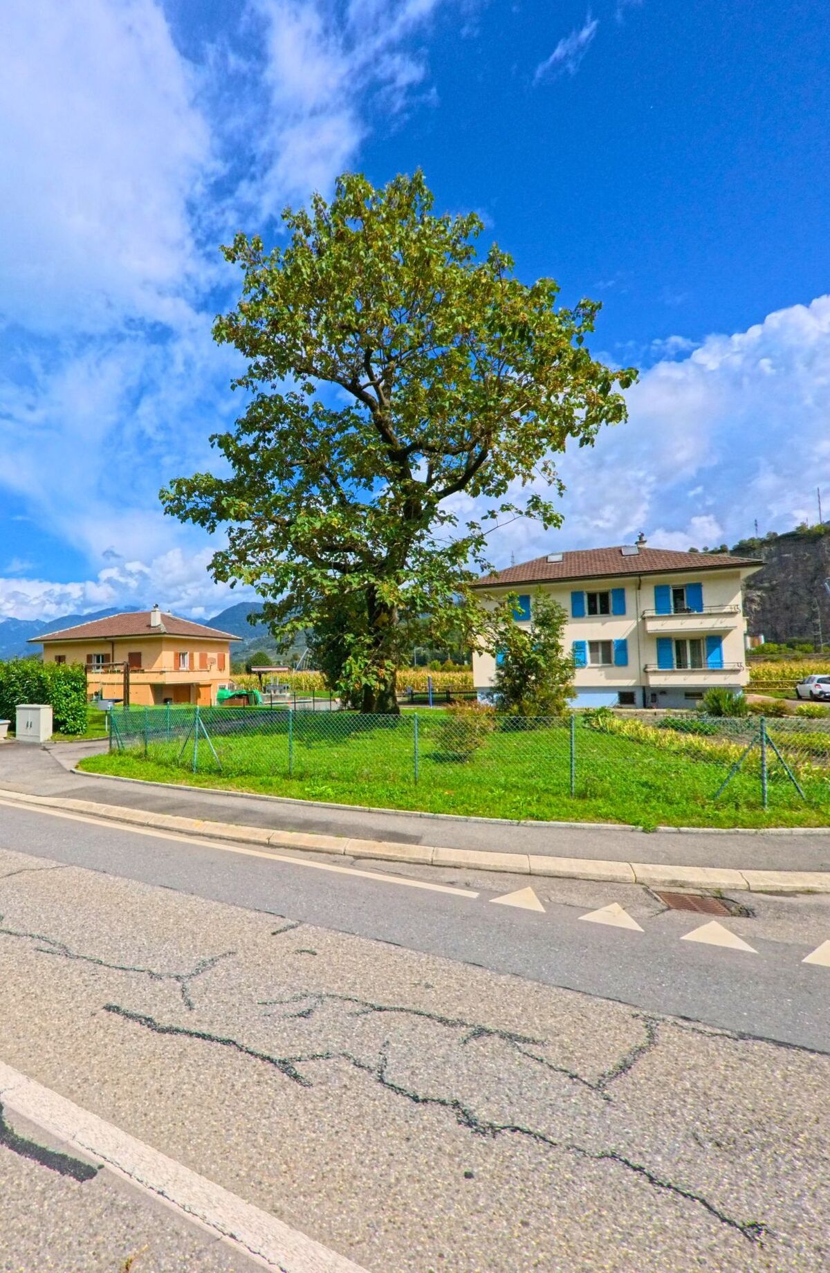 Ein grosser Baum steht auf einer Gruenflaeche zwischen Wohnhaeusern in Massongex (1869, Kanton Wallis) an einer Strasse.