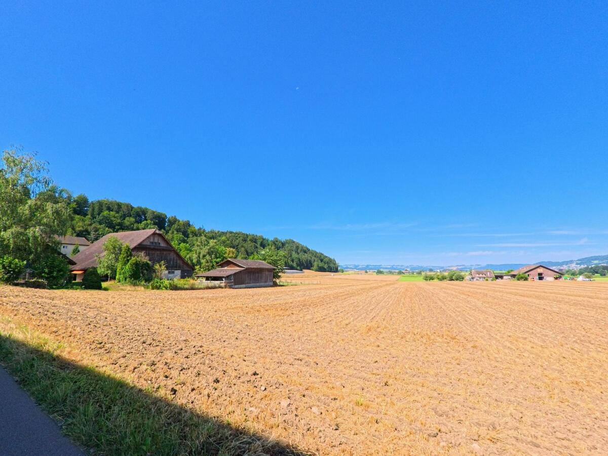  In Mauensee (6216, Kanton Luzern) grenzen mehrere Bauernhoefe an ein weitlaeufiges, frisch gepfluegtes Feld, das sich bis zum Waldrand und den Huegeln erstreckt.