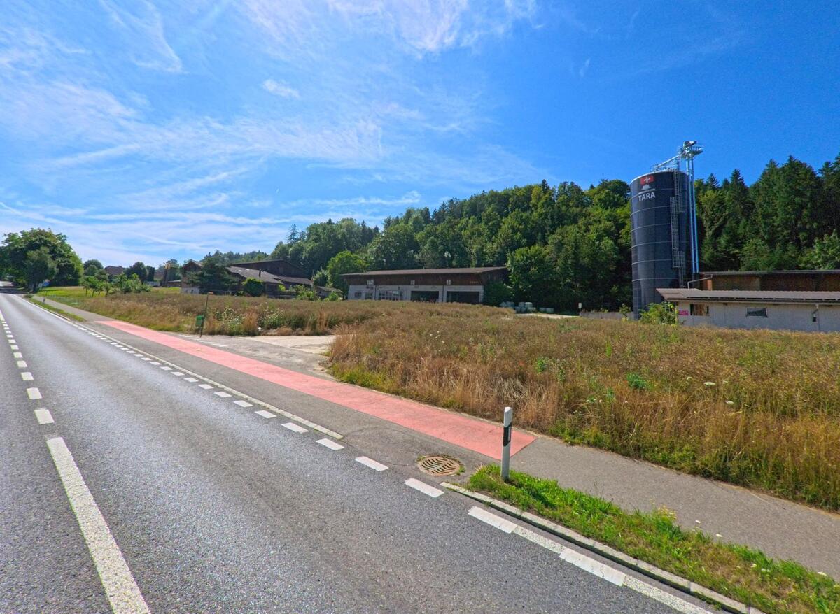 An einer Landstrasse in Mauensee (6216, Kanton Luzern) liegen landwirtschaftliche Betriebsgebaeude mit einem hohen Futtersilo vor einem Waldrand.