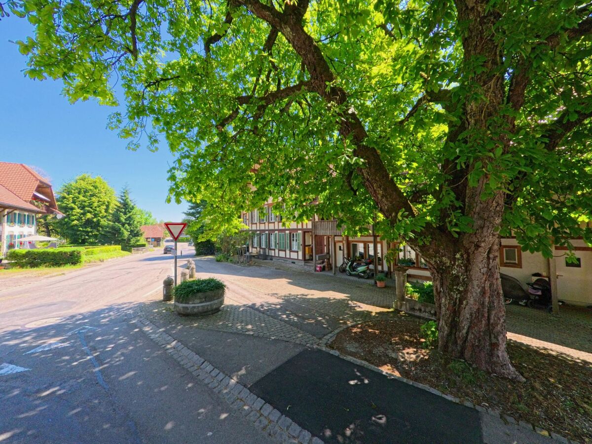 In Meikirch (3045, Kanton Bern) ist eine Straßenecke unter einem großen Baum zu sehen, mit einem traditionellen Fachwerkhaus im Hintergrund und einem Verkehrszeichen.