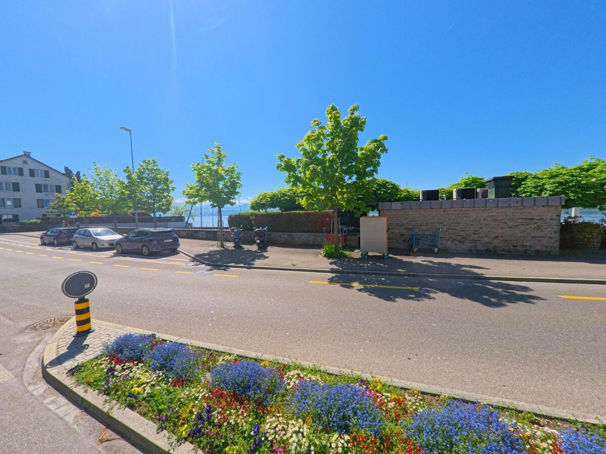 In Meilen, PLZ 8706 im Kanton Zürich verläuft eine Uferstrasse mit Blick auf den Zürichsee, gesäumt von Bäumen, Autos und einem farbenfrohen Blumenbeet im Vordergrund.
