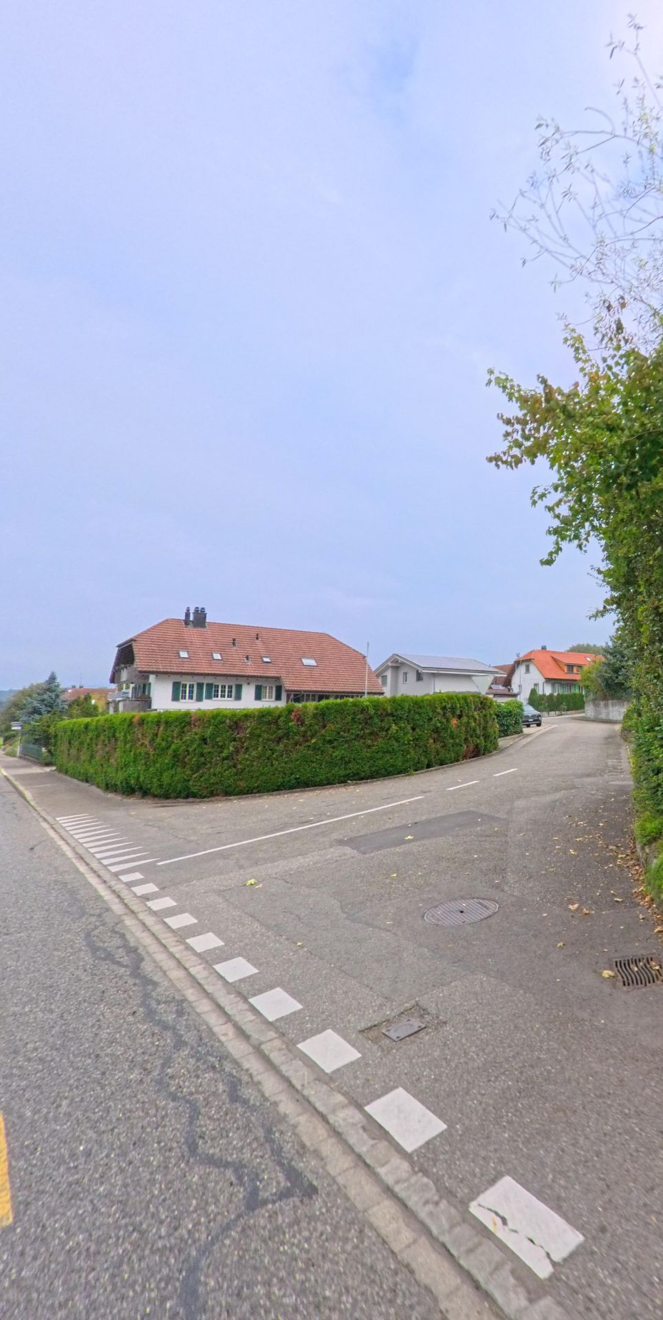 Ein Wohnhaus mit rotem Satteldach steht an einer leicht ansteigenden Strasse in Meisterschwanden (5617, Kanton Aargau), umgeben von gepflegten Hecken und weiteren Einfamilienhäusern.