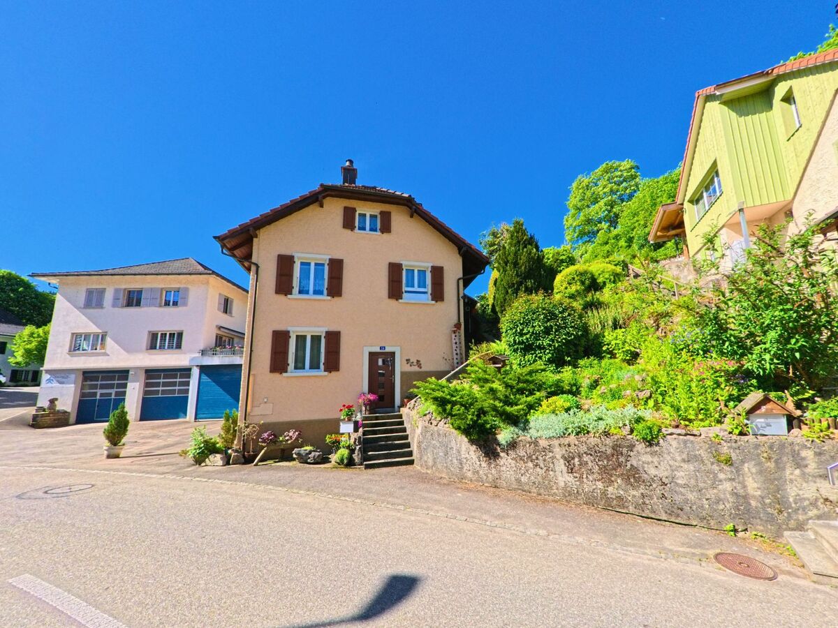 In Meltingen (4233, Kanton Solothurn) steht ein rosafarbenes Wohnhaus mit gepflegtem Vorgarten an einer Strasse, flankiert von weiteren Häusern und Hangbepflanzung.