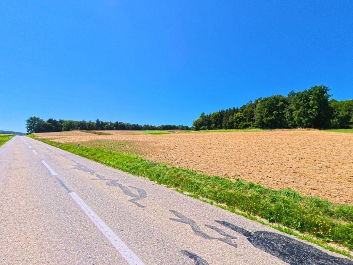 Eine Landstrasse verläuft durch die Felder von Ménières (1533, Kanton Freiburg) und führt unter blauem Himmel an offenen Ackerflächen und einem Waldrand vorbei.