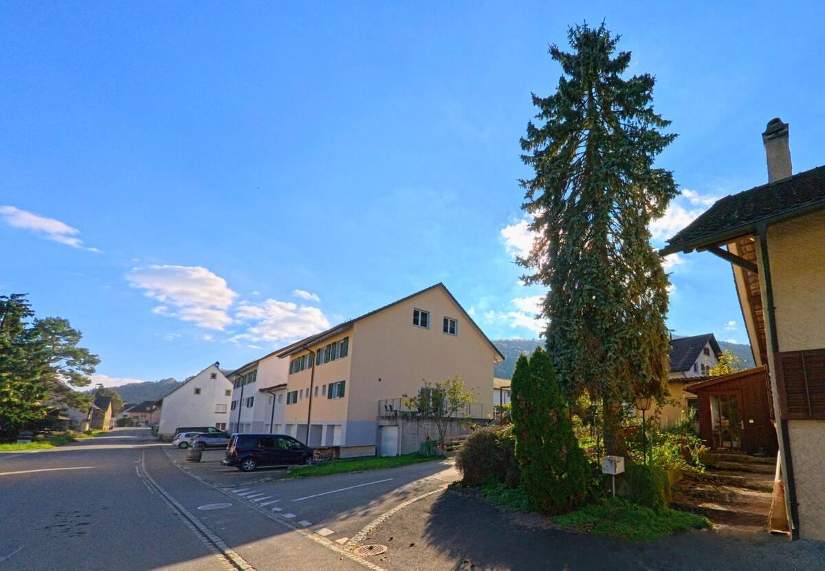 Eine ruhige Strasse führt an Mehrfamilienhäusern und einem hohen Baum in Merishausen (8232, Kanton Schaffhausen) vorbei.