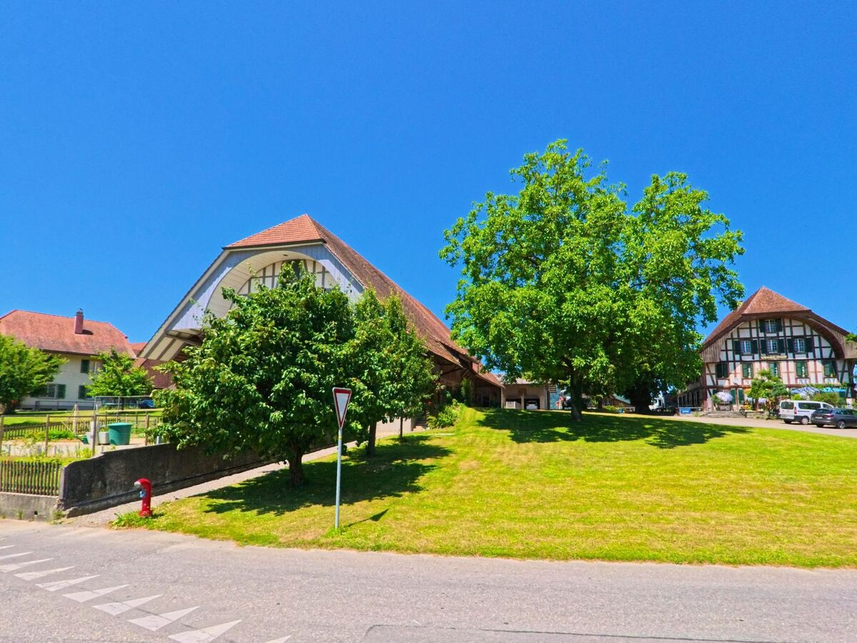 In Messen (3254, Kanton Solothurn) stehen zwei grosse Bauernhäuser mit typischem Satteldach und Fachwerkstruktur auf einer leicht erhöhten Grünfläche im Dorfzentrum.