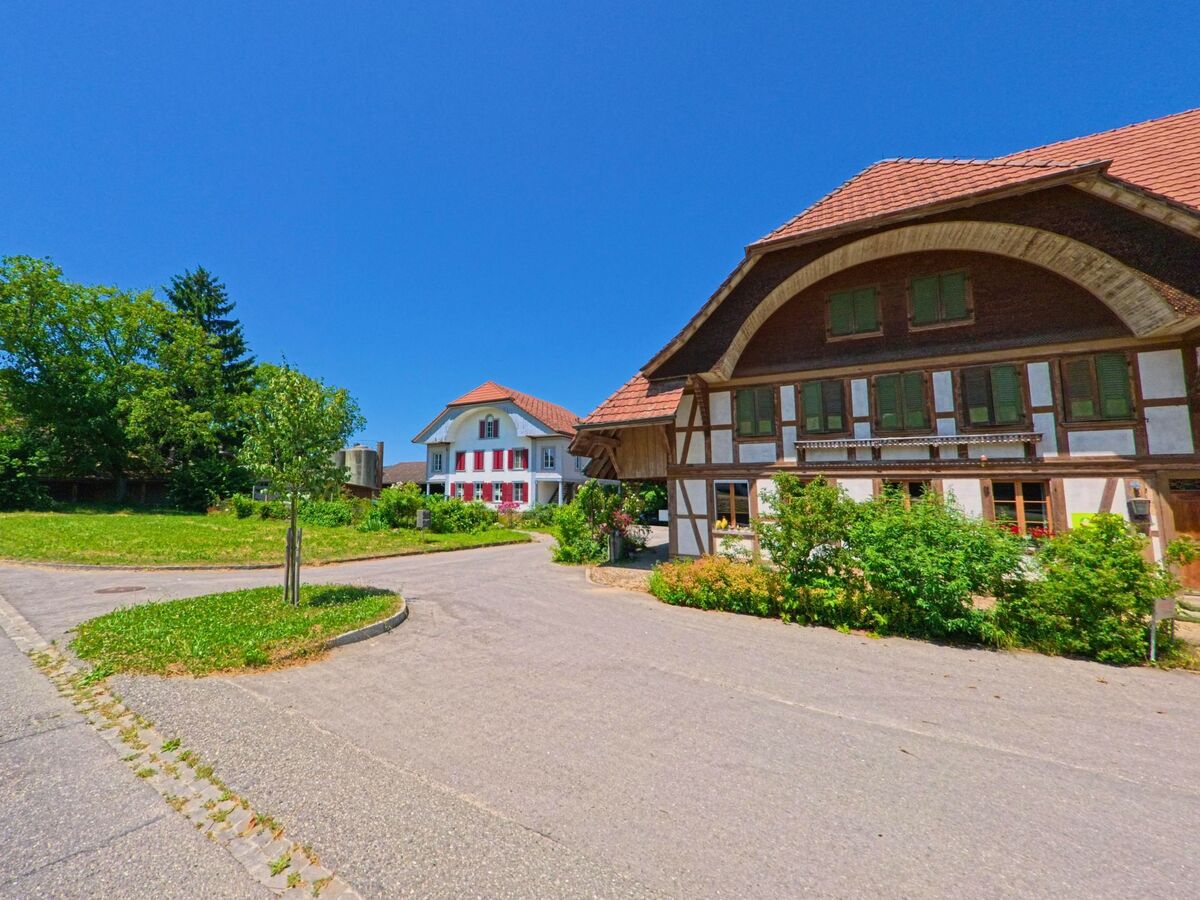 In Messen (3254, Kanton Solothurn) stehen sich ein traditionelles Fachwerkhaus mit Rundgiebel und ein weisses Wohnhaus mit roten Fensterläden gegenüber.