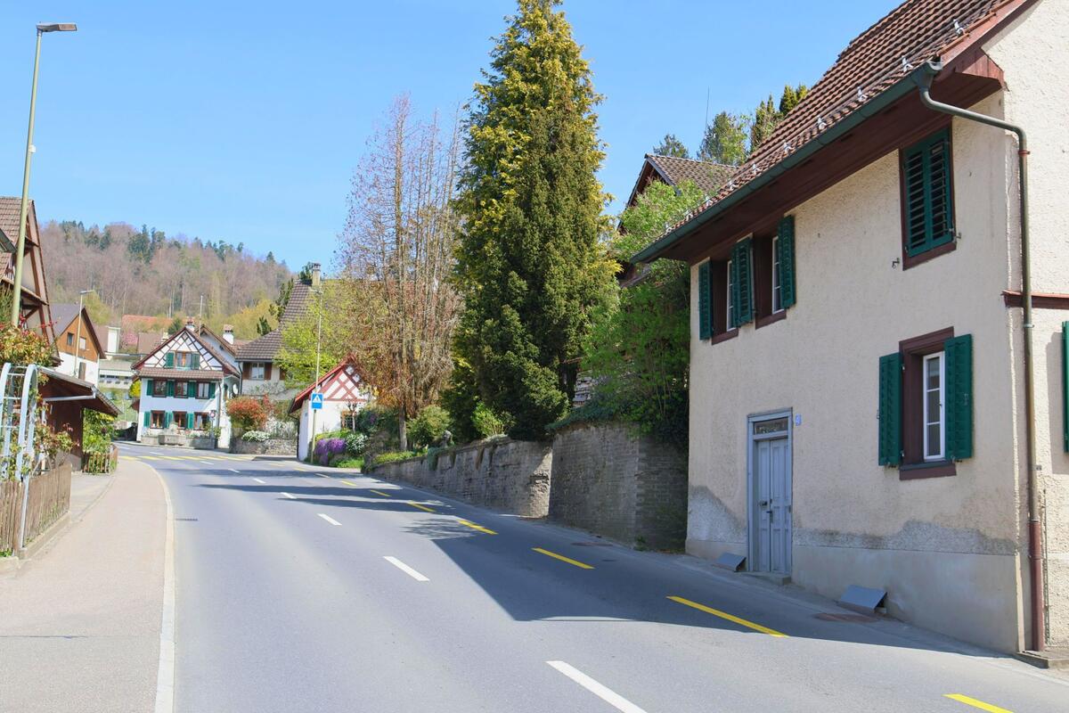 Eine sanft ansteigende Strasse mit traditionellen Häusern säumt in Mettmenstetten, PLZ 8932 im Kanton Zürich den Weg in ein ruhiges Wohnquartier mit bewaldetem Hintergrund.