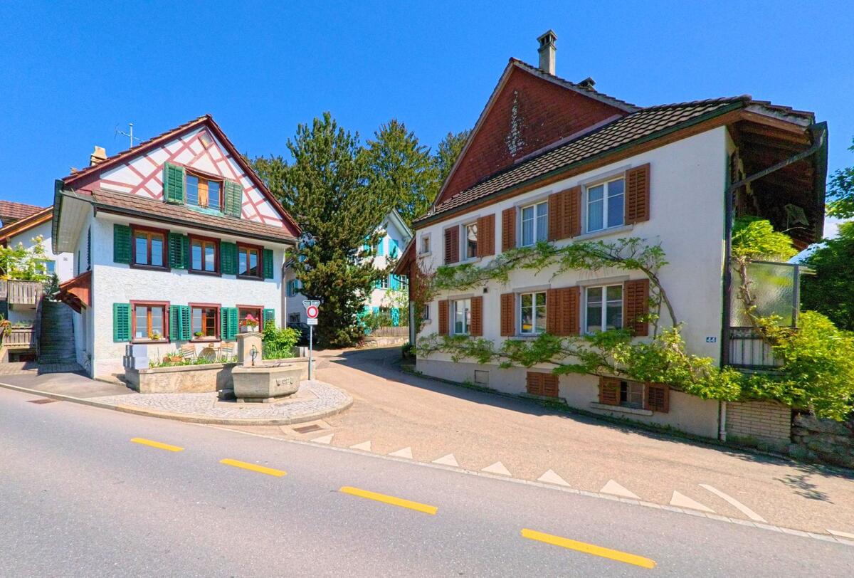 Zwei traditionelle Wohnhäuser mit Fensterläden und Kletterpflanzen stehen in Mettmenstetten, PLZ 8932 im Kanton Zürich an einer kleinen Gabelung mit Brunnen.
