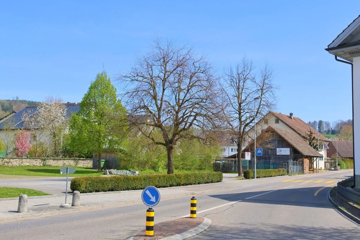 Eine Verkehrsinsel mit Richtungsschild trennt die Fahrspuren in Mettmenstetten, PLZ 8932 im Kanton Zürich, umgeben von Bäumen, Wohnhäusern und einem Scheunengebäude.
