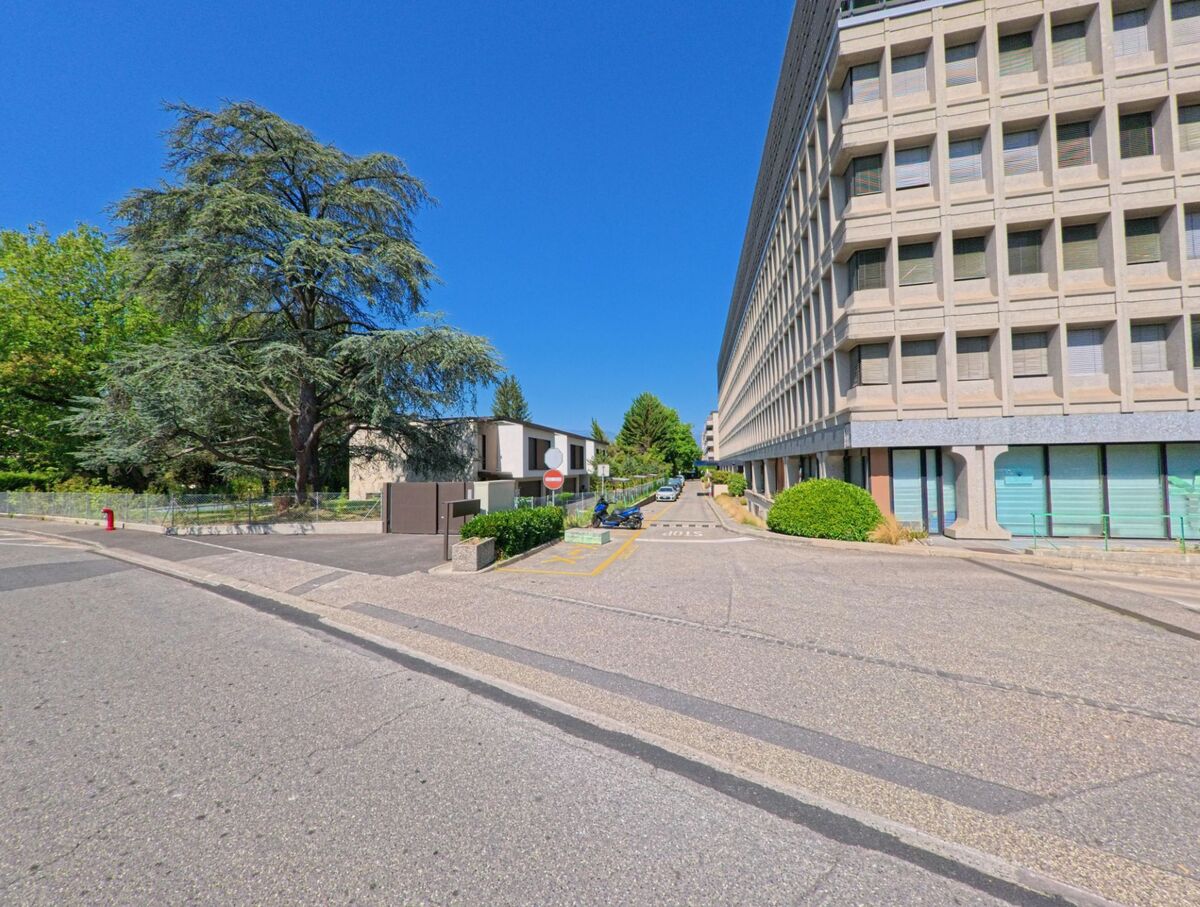 In Meyrin (1216, Kanton Genf) verläuft eine schmale Zufahrtsstrasse entlang eines grossen Verwaltungsgebaeudes, waehrend daneben ein hoher Baum Schatten spendet.