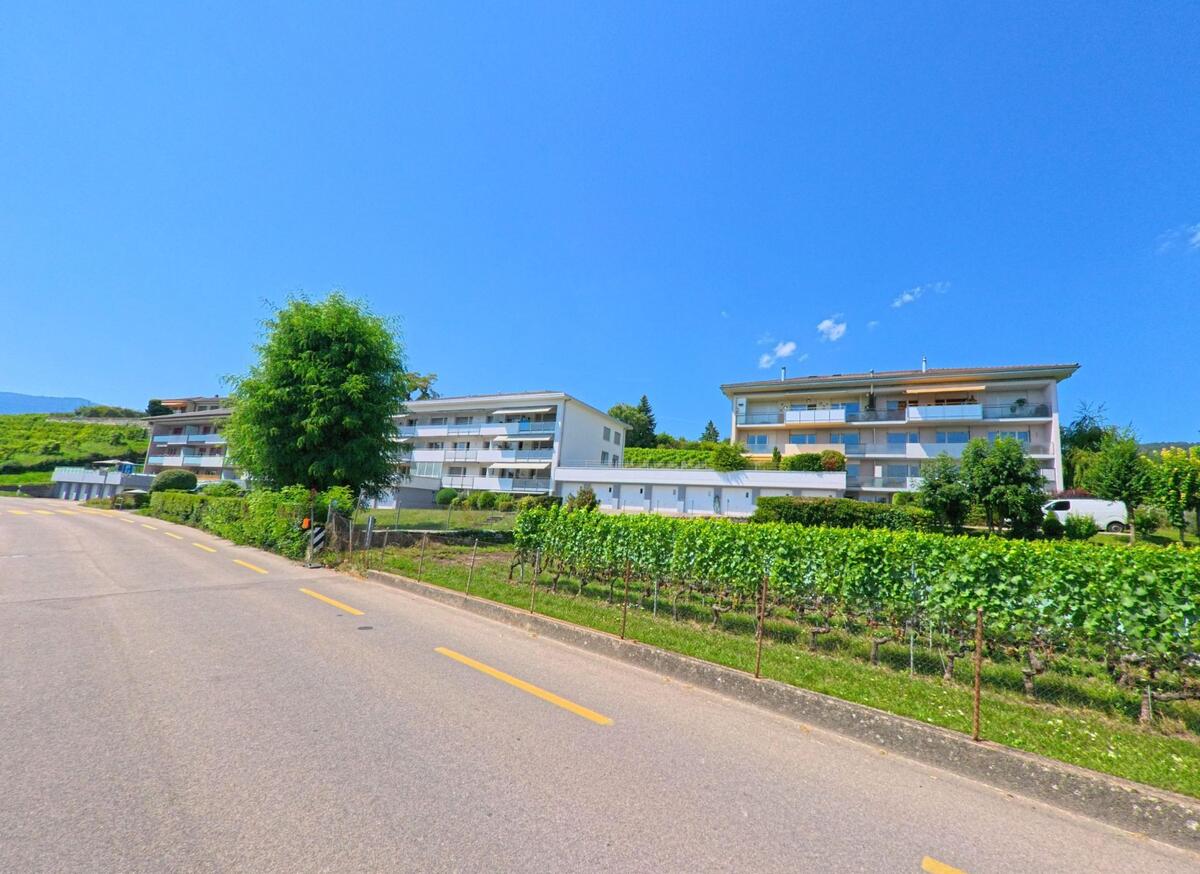 Vor modernen Wohngebaeuden in Milvignes (2012, Kanton Neuenburg) erstrecken sich gepflegte Weinreben entlang einer ruhig verlaufenden Strasse.