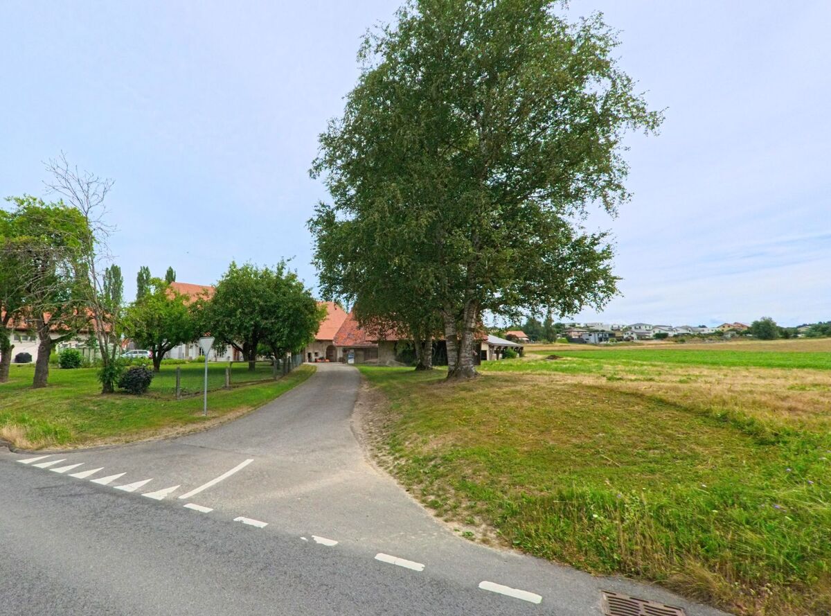 In Misery-Courtion (PLZ 1721, Kanton Freiburg) zweigt ein schmaler Weg mit grossen Bäumen von der Hauptstrasse zu einem Bauernhof am Feldrand ab.