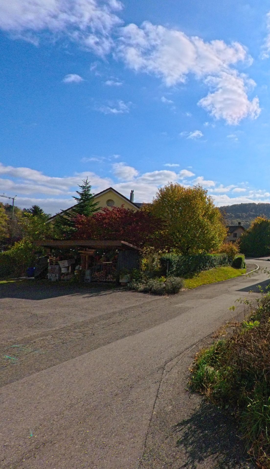 Eine schmale Strasse in Mönthal (5237, Kanton Aargau) führt an einem Garten mit bunten Bäumen und einem kleinen Holzunterstand vorbei in Richtung Dorf.