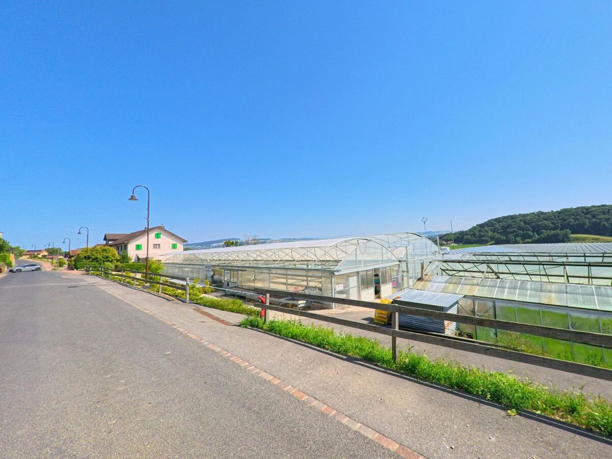 In Montagny-pres-Yverdon (1442, Kanton Waadt) liegen mehrere grosse Gewaechshaeuser am Strassenrand, umgeben von Feldern und Huegeln.