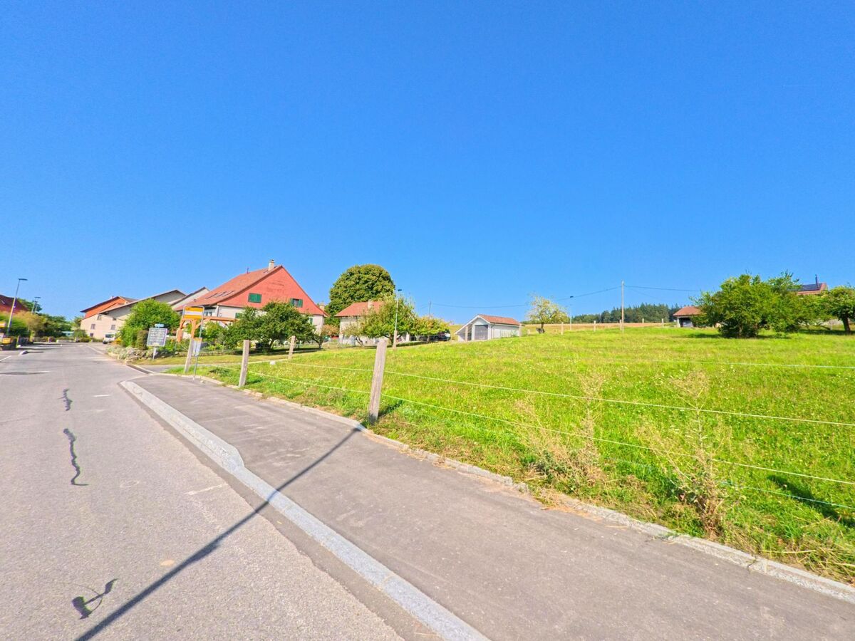 In Montanaire (1409, Kanton Waadt) grenzen Wiesen mit Obstbaeumen an eine Strasse mit angrenzenden Bauernhaeusern.