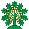 Montanaire