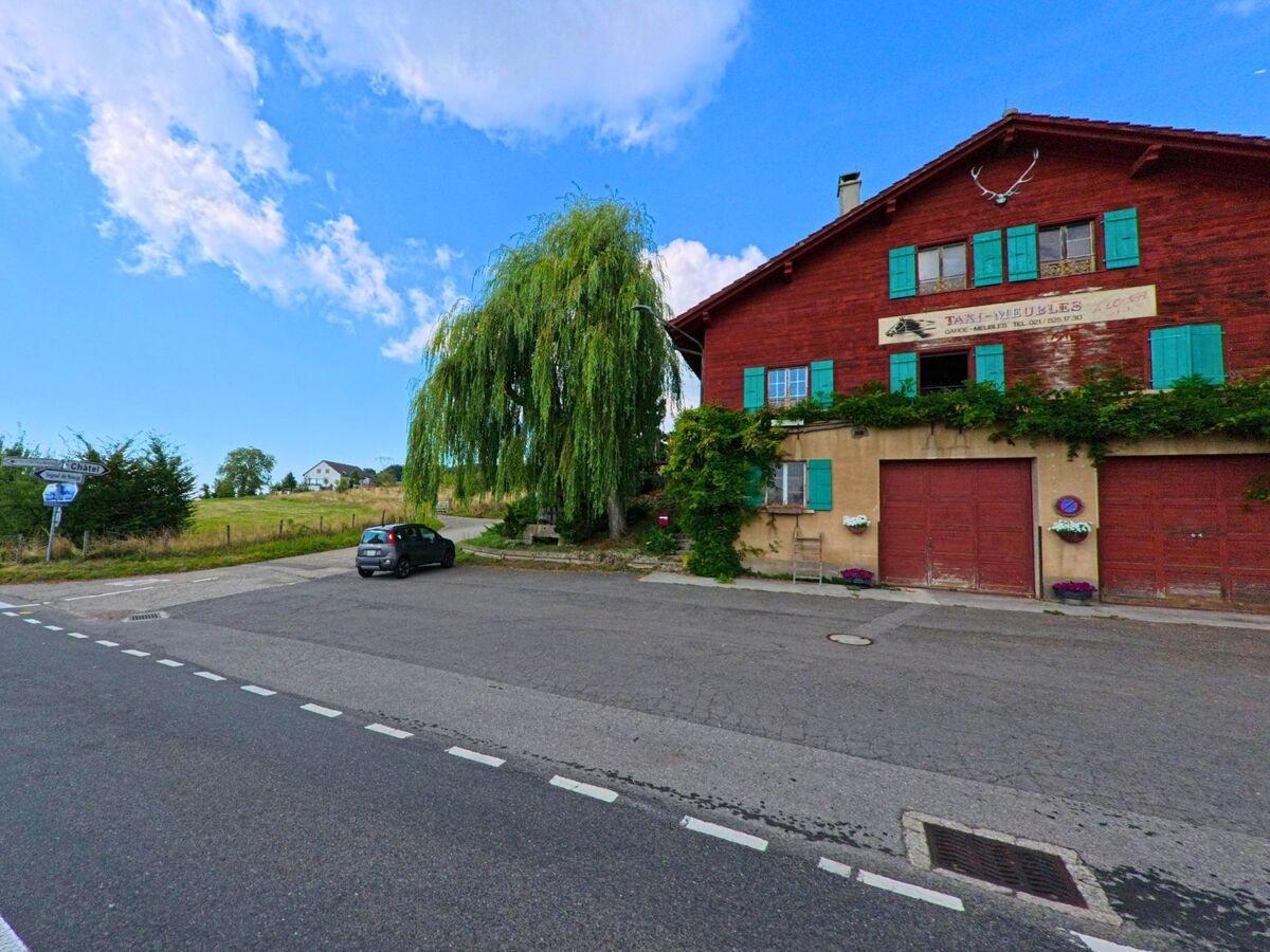 Ein rotes Haus mit gruenen Fensterlaeden steht am Strassenrand in Mont-sur-Rolle (1185, Kanton Waadt), daneben ragt eine grosse Trauerweide ueber den Hof.