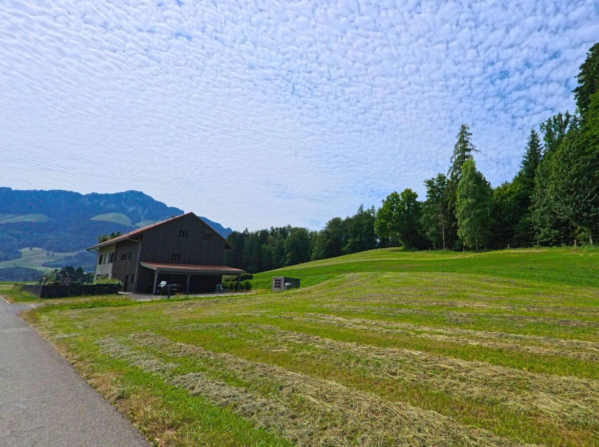 In Morlon (1638, Kanton Freiburg) liegt ein landwirtschaftliches Gebäude am Waldrand, umgeben von frisch gemähten Wiesen und mit Blick auf die nahen Berge.