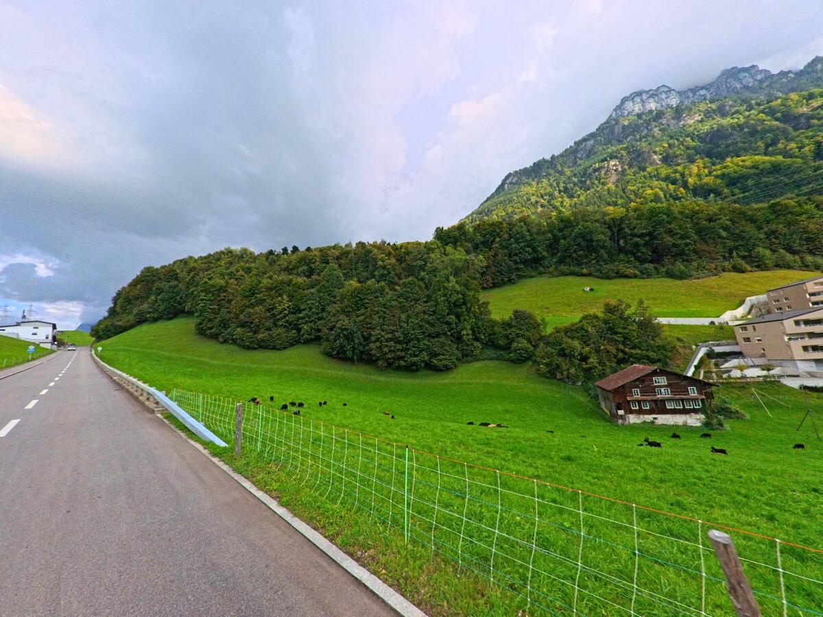 Eine Strasse führt durch offene Wiesen mit Blick auf bewaldete Hänge bei Morschach (6443, Kanton Schwyz).