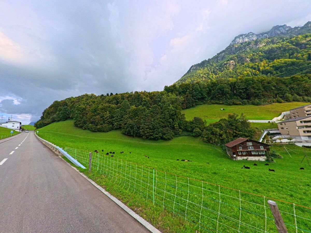Eine Strasse führt durch offene Wiesen mit Blick auf bewaldete Hänge bei Morschach (6443, Kanton Schwyz).