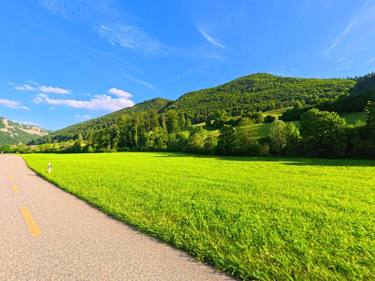Eine Landstrasse führt durch grüne Wiesen in Mümliswil (4717, Kanton Solothurn) und verläuft entlang bewaldeter Hänge unter blauem Himmel.