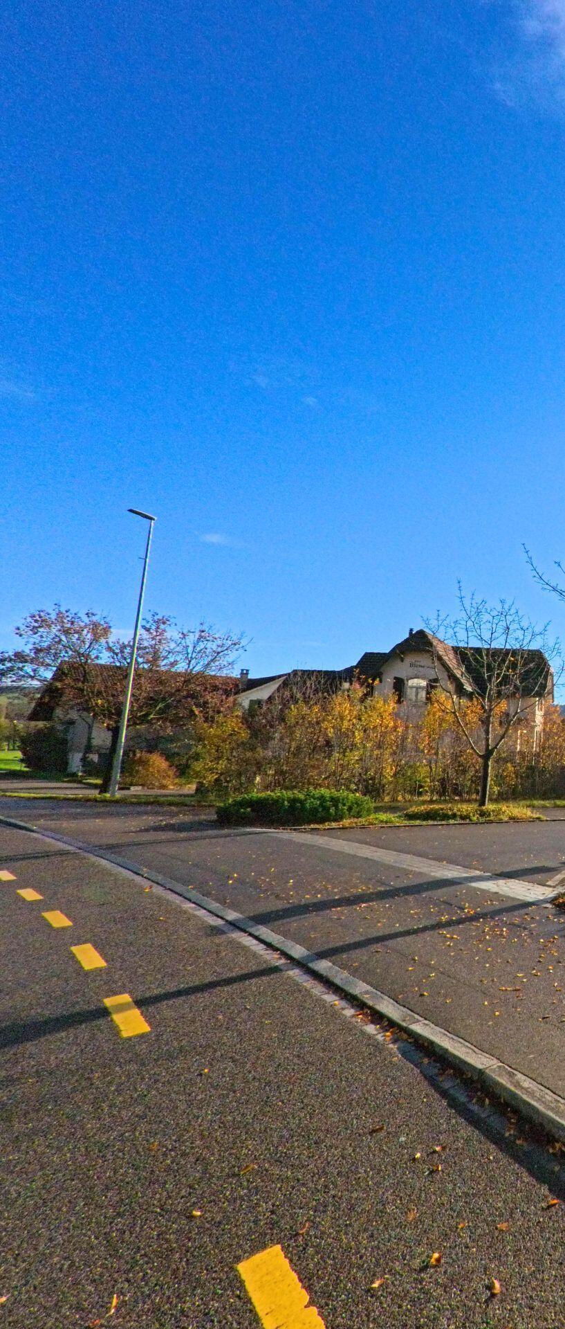 Unter weitem Himmel liegt in Münchwilen (9542, Kanton Thurgau) eine ruhige Strasse mit Laterne, Radwegmarkierungen und Häusern hinter herbstlichen Sträuchern.