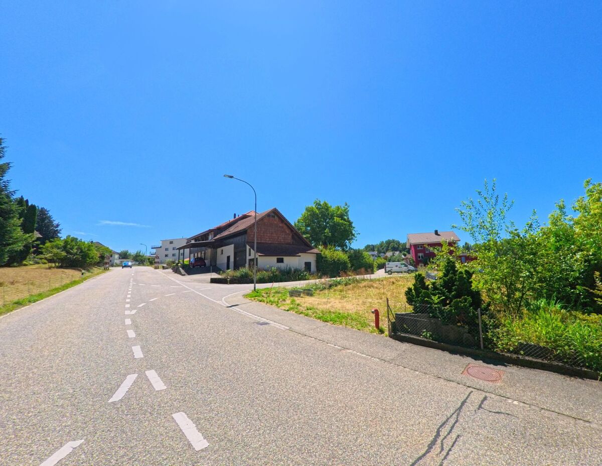 In Murgenthal (4856, Kanton Aargau) fuehrt eine leicht ansteigende Strasse an Wohnhaeusern und einer offenen Wiesenflaeche mit Buschwerk vorbei.