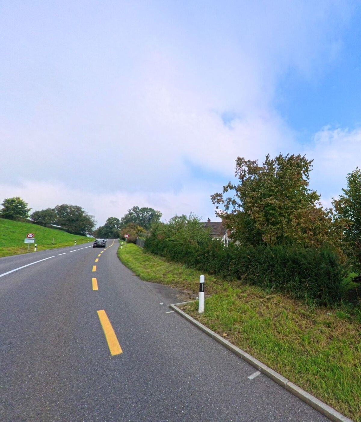 Eine leicht gekruemmte Landstrasse fuehrt durch die gruene Umgebung von Muri (5630, Kanton Aargau), gesaeumt von Baeumen und Wiesen.