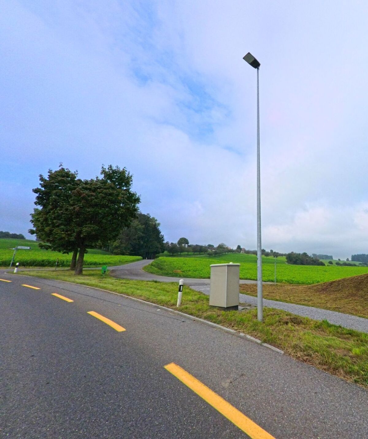 Ein Einfamilienhaus mit gepflegtem Vorgarten steht an einer leicht gekruemmten Strasse in Muri (5630, Kanton Aargau), umgeben von Baeumen und Straeuchern.