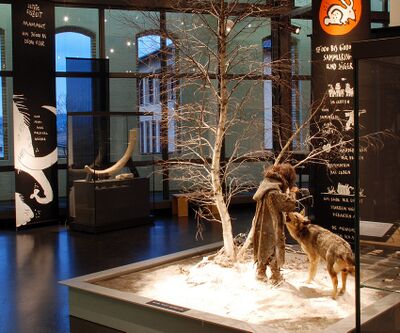 Museum für Urgeschichte(n)