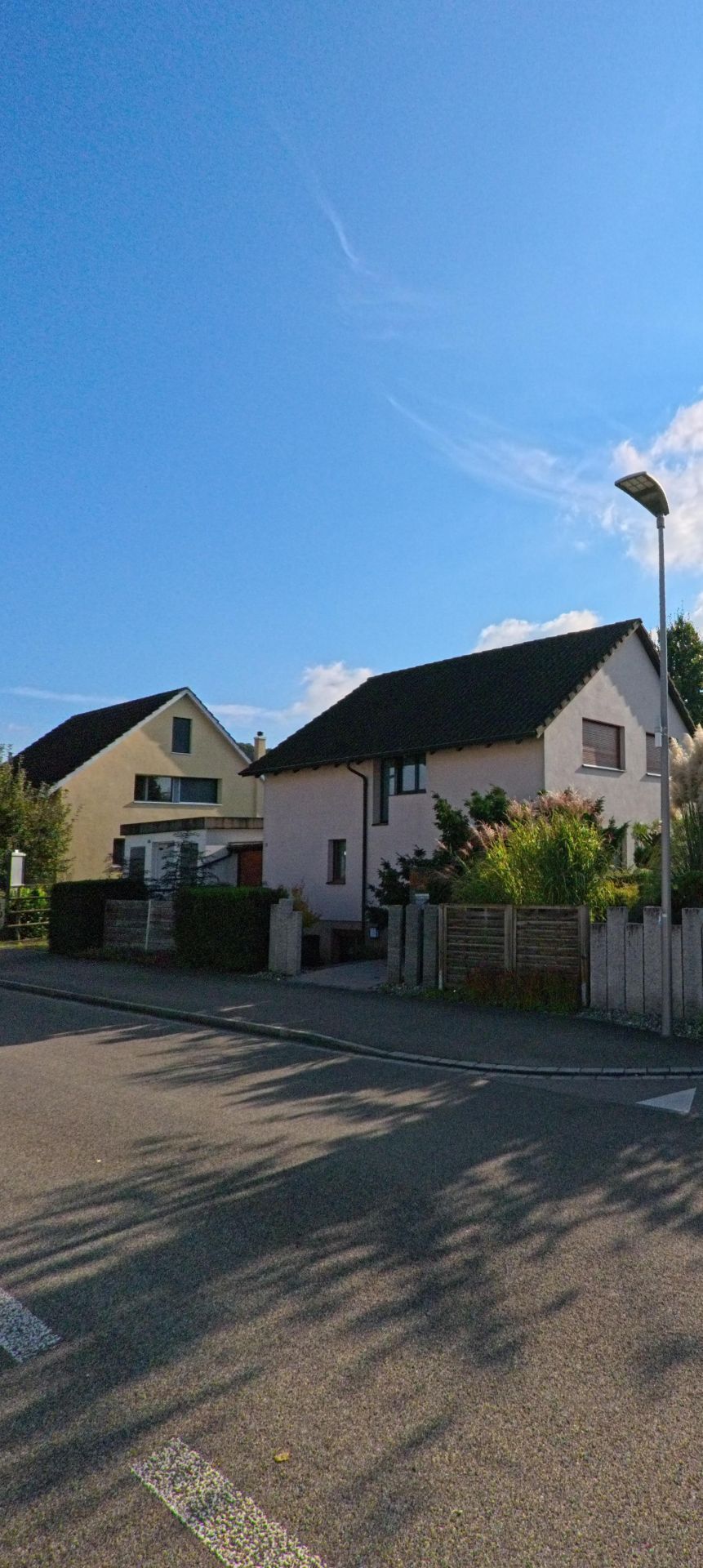 In einem Wohnquartier von Muttenz (4132, Kanton Basel-Landschaft) stehen Einfamilienhäuser mit gepflegten Gärten entlang einer ruhigen Strasse.