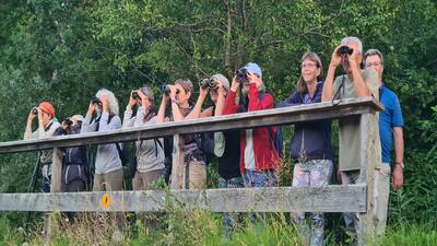 In Wohlen (5610, Kanton Aargau) beobachtet eine Gruppe des Natur- und Vogelschutzvereins Wohlen aufmerksam die Tierwelt, waehrend sie mit Fernglaesern auf einem hölzernen Steg steht.