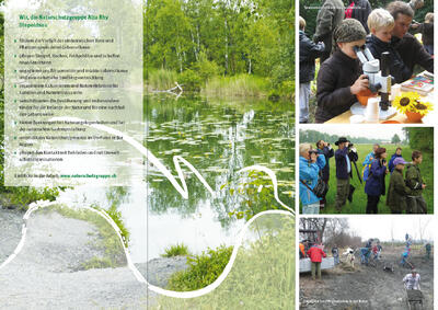 Informationsplakat der Naturschutzgruppe Alta Rhy in Diepoldsau (9444, Kanton St Gallen) mit Teichlandschaft, Naturbeobachtung und Pflegeeinsätzen.